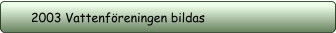 2003 Vattenföreningen bildas